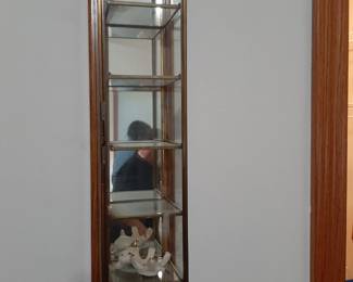 Small Glass Wall Hanging Curio