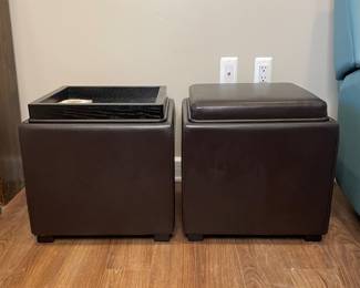 Leather storage cubes