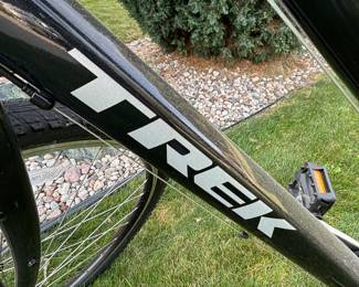 Trek bicycle Verve 2