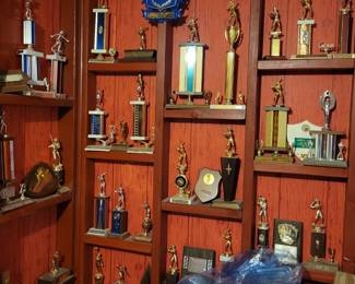Trophies and other awards.  These belonged to Kay Purves who was an outstanding player and manager for the Lansing Laurels women's fast pitch softball team