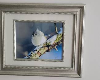 Several Linda Moore bird photos 