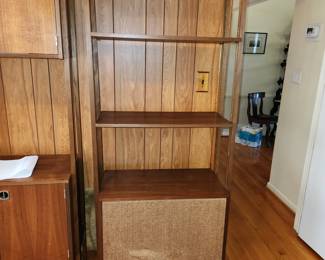 MCM speaker cabinet/shelving unit. Has 2 Stentorian model Z6662 speakers (Google them)