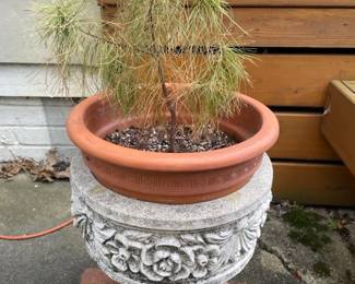 Cement planters