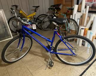 Schwinn Frontier Bike