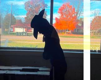 Cowboy silhouette made of wood