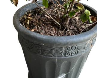 Embossed Earthenware Planter 