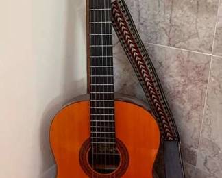 Ariana Guitar And Harmonica