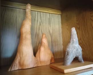 Cypress knees