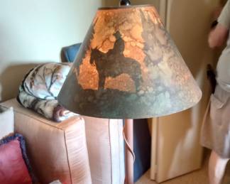 Shadow lamp shade and beautiful lamp