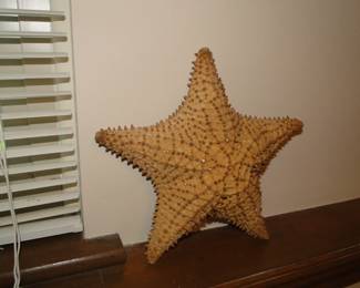 Starfish