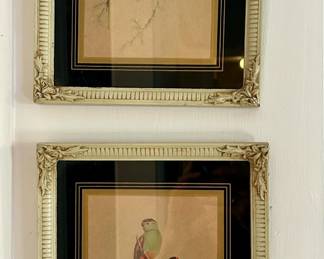 Vintage J. Gould Bird Print