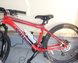Raleigh Mojave 5.0 mountain bike.