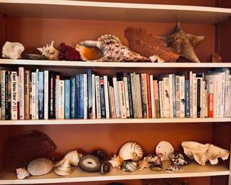 Shell and geode collection 