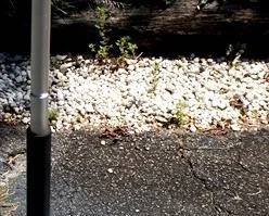 65h - Pittsburgh Floor Jack 42 x 21 x 0
