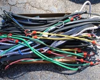 48h - Group Bungee Straps
