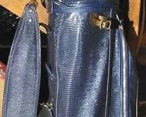 1211x - Golf Clubs in Bag
