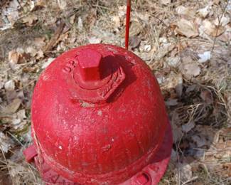Detroit Fire Hydrant - available Sunday 10-3