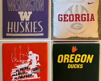 College logo t-shirt wall hangings and a pillow