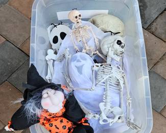 Spooky Halloween Decor'