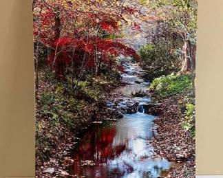 Harold Wilson Photography 2 Fall Foliage And A Stream In The Woods
