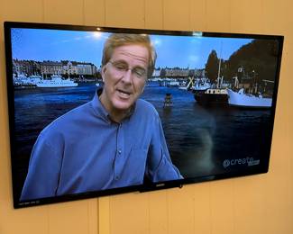 Item #6 - Sanyo 48" TV with mount - $40