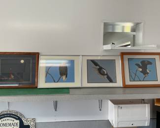 More 8x10” eagle pictures