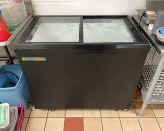 Commercial True Freezer