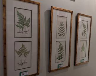 Nice set/3 framed/matted botanical prints. 