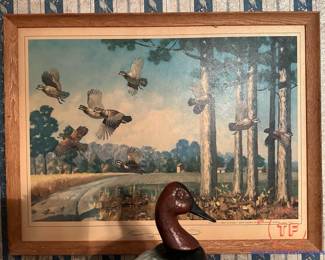 Vintage STORZ Wall Advertisement Display