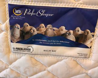 This is an absolutely MINT/NEAR PERFECT Twin Box Spring. Mattress and Frame. (No head or foot board!) 