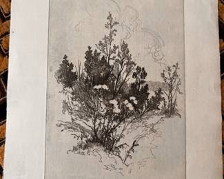 Beautiful Signed and Numbered Print! 