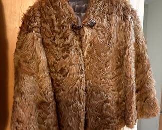 A very shaggy tan fur coat! Very cool! 