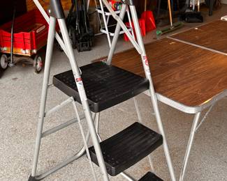 Here is the THIRD Step Ladder - this one is the newest and is a Wagner! 