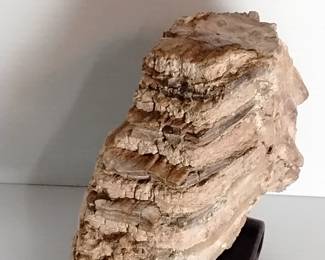 LOT #3: Genuine Fossilized Mammoth Tooth