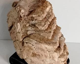 LOT #3: Genuine Fossilized Mammoth Tooth