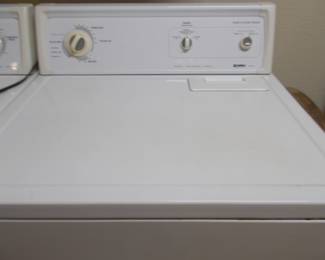 Gas dryer 