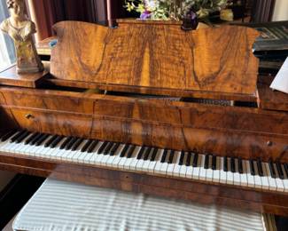 Beautiful grand piano