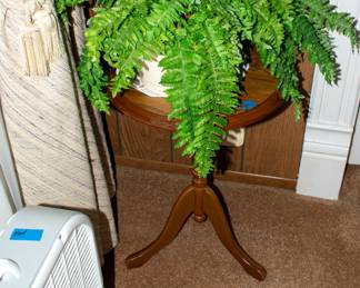 Table, faux fern, box fan.