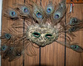Peacock feather mask.