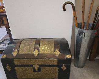 Antique canes, trunk