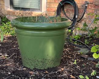 Large green outdoor flower pot.