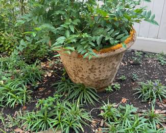Large outdoor flower pots.