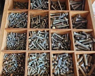 More various bolts of all sizes within the toolbox