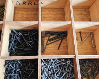 Various screws within the toolbox