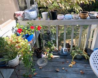 Lots of plants and pots