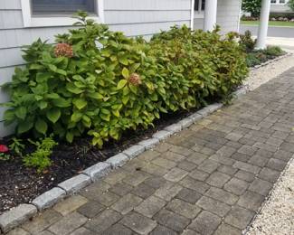 Belgian blocks; paving stones
