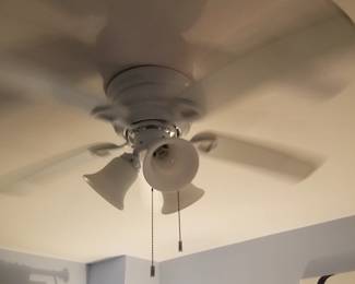 Lighted ceiling fan