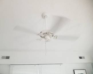 Ceiling fan