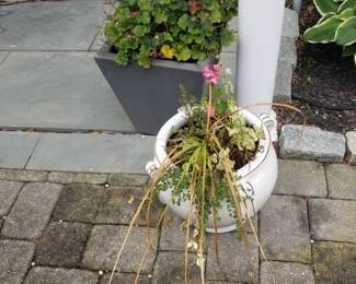 Potted plants; paving stones