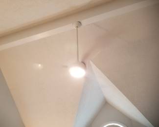 MinkaAire lighted ceiling fan with remote